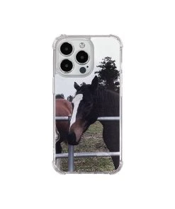 [FINDOUBT] Seasonless Horse Farm (case)