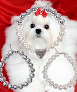 Best Sellers [HURJABOYACC] Seasonless Back To Basic A To C