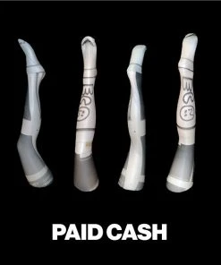 [DYDO] Seasonless Paid Cash Best Sellers