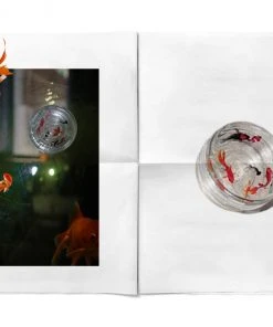 [RURU] Seasonless FISH BALL GRIPTOK [CLEAR]