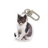 [GILDONGMUL] Seasonless Baby Mackerel Key Ring 3 Best Sellers