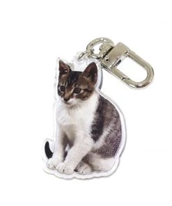 [GILDONGMUL] Seasonless Baby Mackerel Key Ring 3 Best Sellers