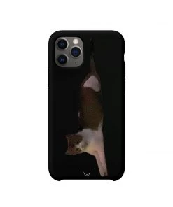 Best Sellers [GILDONGMUL] Seasonless Stretch 2