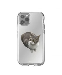 Best Sellers [GILDONGMUL] Seasonless Smart Gray Cat