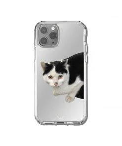 [GILDONGMUL] Seasonless A Cat With Pumpkin Eyes 2 Best Sellers