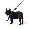 Best Sellers [LIFEWORK] FW 21 Pet Black Harness