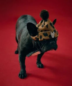 [LIFEWORK] FW 21 Pet Pom Pom Beanie