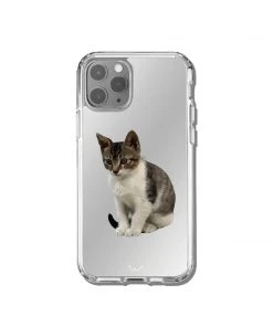 [GILDONGMUL] Seasonless Mackerel 2 Best Sellers