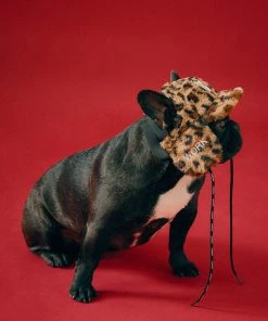 [LIFEWORK] Seasonless Pet Treacher Hat Best Sellers