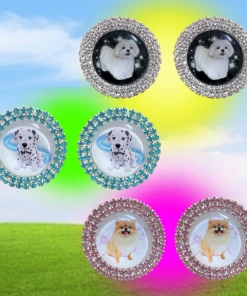 Best Sellers [HURJABOYACC] Seasonless Pet Series _ Puppy S2