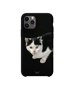 [GILDONGMUL] Seasonless A Cat With Pumpkin Eyes Best Sellers