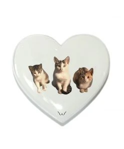 Best Sellers [GILDONGMUL] Seasonless Love, Eyes, Meow 3