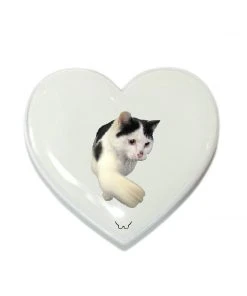 [GILDONGMUL] Seasonless Meow Meow Punch 3 Best Sellers