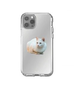 [GILDONGMUL] Seasonless White Cat 2 Best Sellers