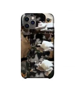 [GILDONGMUL] Seasonless A Cat Collection Hard Best Sellers