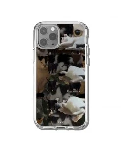 [GILDONGMUL] Seasonless A Collection Of Cats 2