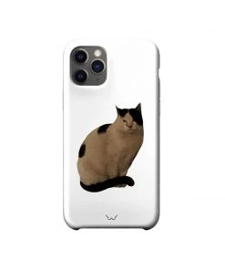 [GILDONGMUL] Seasonless Parting Cat 2 Best Sellers