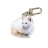 [GILDONGMUL] Seasonless White Cat Key Ring Best Sellers