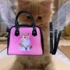Best Sellers [HURJABOYACC] Seasonless Pink Cat Leather Bag