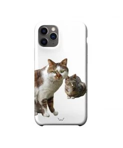 [GILDONGMUL] Seasonless Love And Friendship