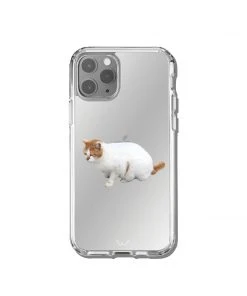 Best Sellers [GILDONGMUL] Seasonless Spacing Out Cat 2