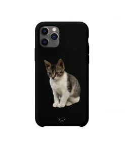 Best Sellers [GILDONGMUL] Seasonless Mackerel