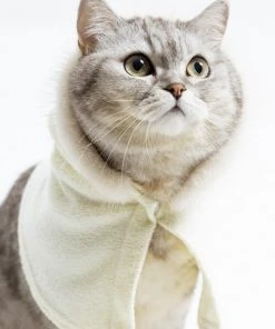 [OUTXO] Seasonless Patty Terry Cape Lemon Best Sellers