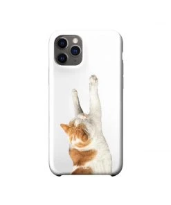 [GILDONGMUL] Seasonless Stretching 2