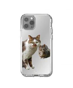 Best Sellers [GILDONGMUL] Seasonless Love And Friendship 2